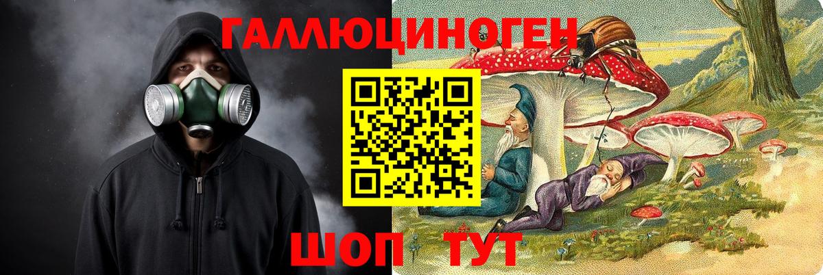 Псилоцибиновые грибы мицелий Переславль-Залесский