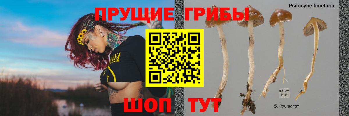 Переславль-Залесский  Псилоцибиновые грибы ЛСД  Вход с VPN 